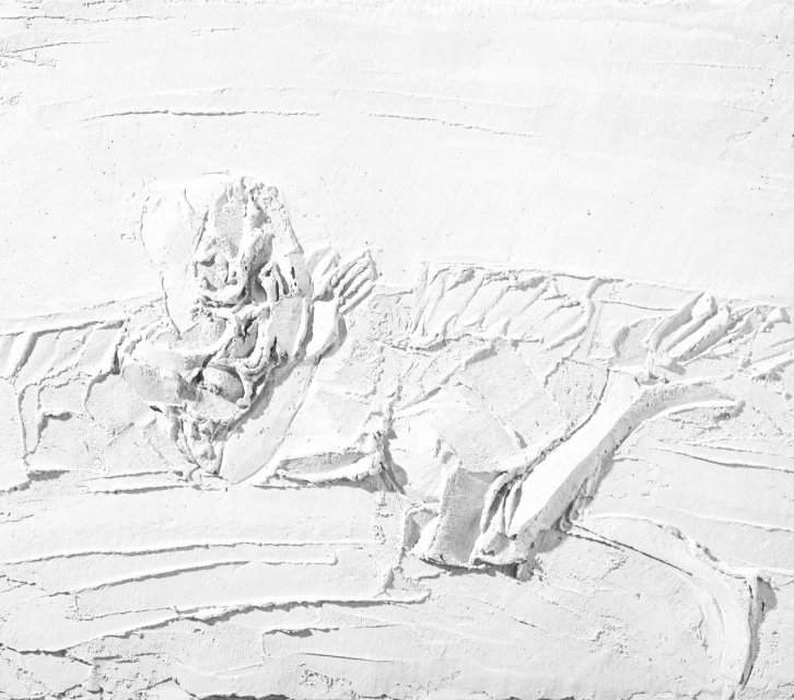 Рельефная женщина1822